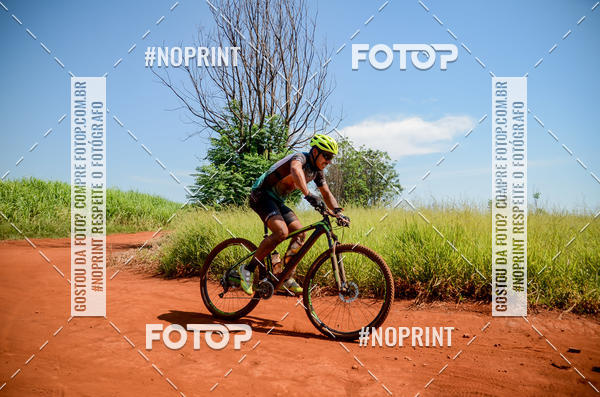 Buy your photos of the eventALIGA on Fotop