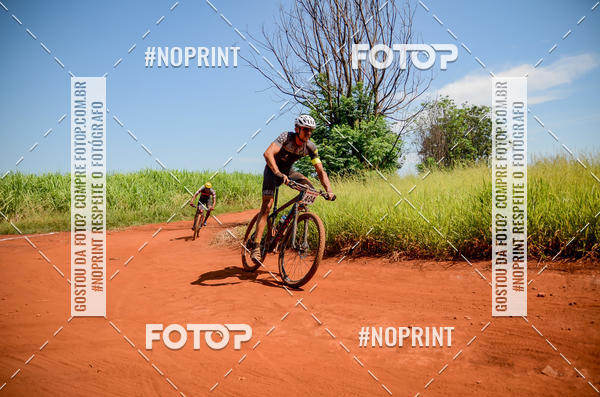 Buy your photos of the eventALIGA on Fotop