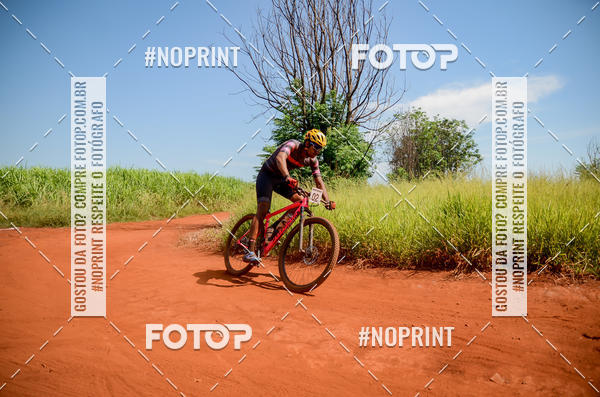 Buy your photos of the eventALIGA on Fotop