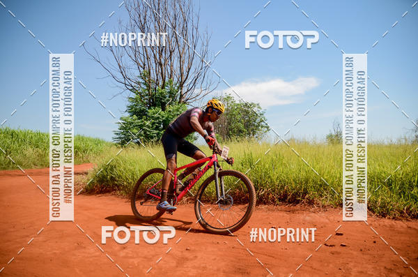 Buy your photos of the eventALIGA on Fotop