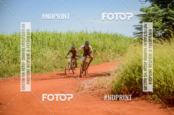 Buy your photos of the eventALIGA on Fotop