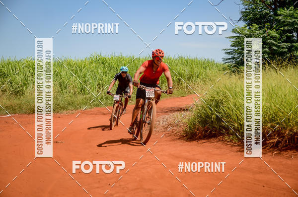 Buy your photos of the eventALIGA on Fotop