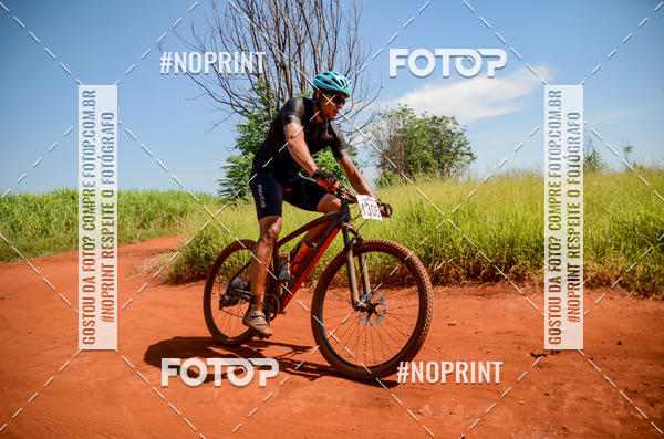 Buy your photos of the eventALIGA on Fotop