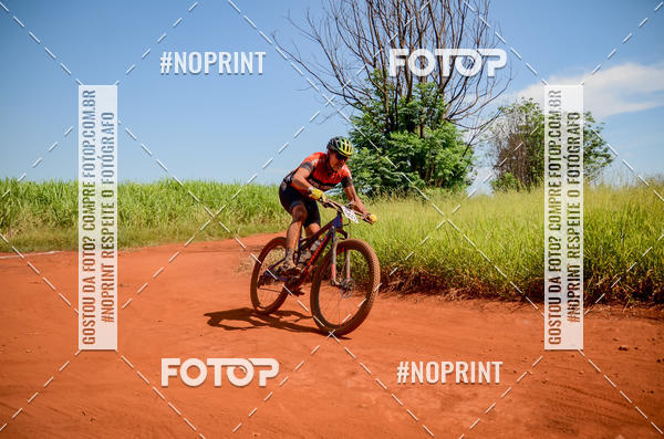 Buy your photos of the eventALIGA on Fotop