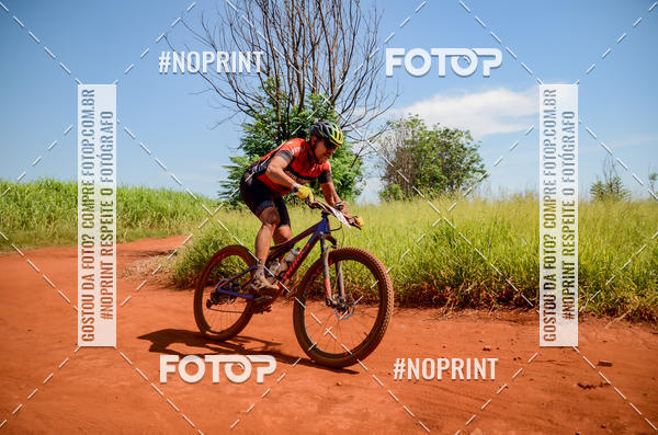 Buy your photos of the eventALIGA on Fotop