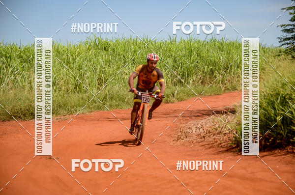 Buy your photos of the eventALIGA on Fotop