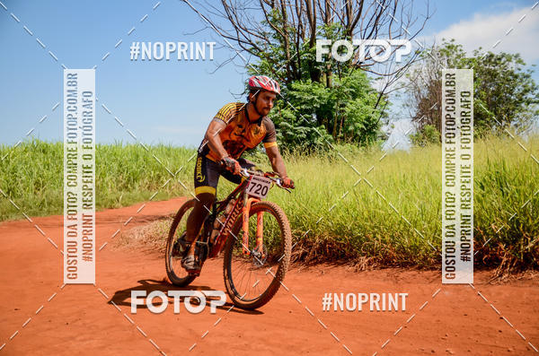 Buy your photos of the eventALIGA on Fotop