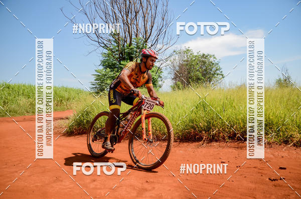 Buy your photos of the eventALIGA on Fotop