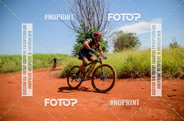 Buy your photos of the eventALIGA on Fotop