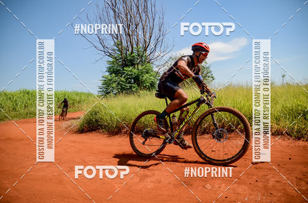 Buy your photos of the eventALIGA on Fotop