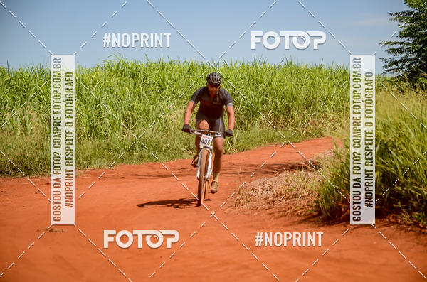 Buy your photos of the eventALIGA on Fotop