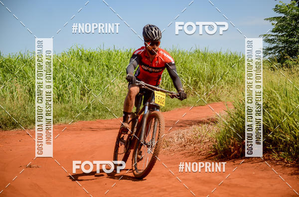 Buy your photos of the eventALIGA on Fotop