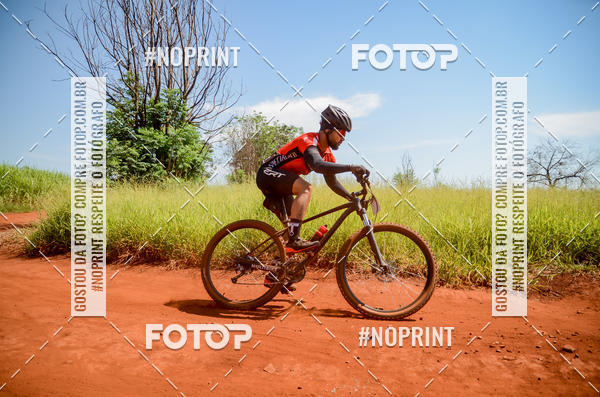 Buy your photos of the eventALIGA on Fotop