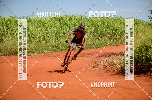 Buy your photos of the eventALIGA on Fotop