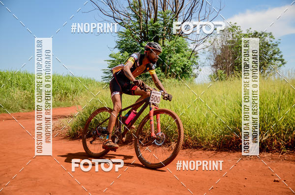 Buy your photos of the eventALIGA on Fotop