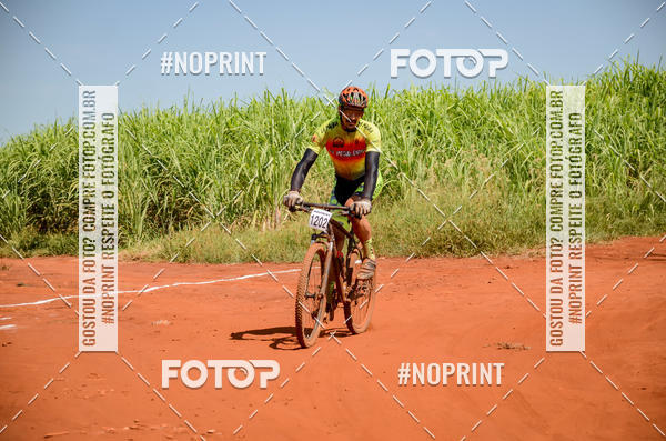 Buy your photos of the eventALIGA on Fotop