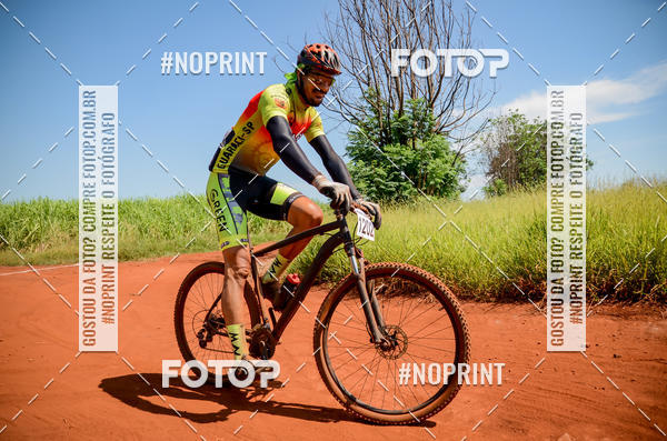 Buy your photos of the eventALIGA on Fotop