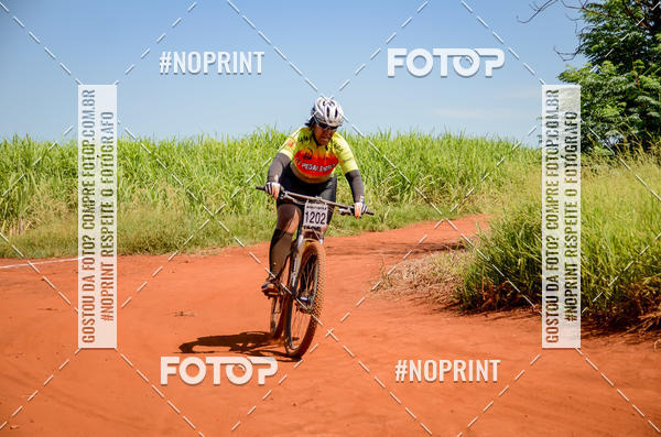 Buy your photos of the eventALIGA on Fotop