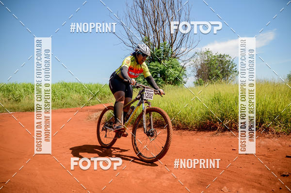 Buy your photos of the eventALIGA on Fotop