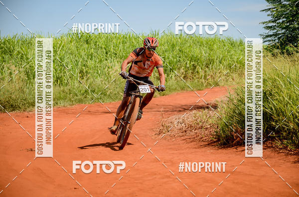 Buy your photos of the eventALIGA on Fotop