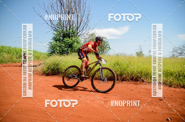 Buy your photos of the eventALIGA on Fotop