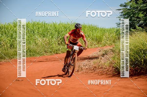 Buy your photos of the eventALIGA on Fotop