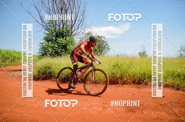 Buy your photos of the eventALIGA on Fotop