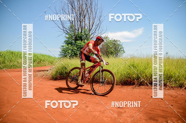 Buy your photos of the eventALIGA on Fotop