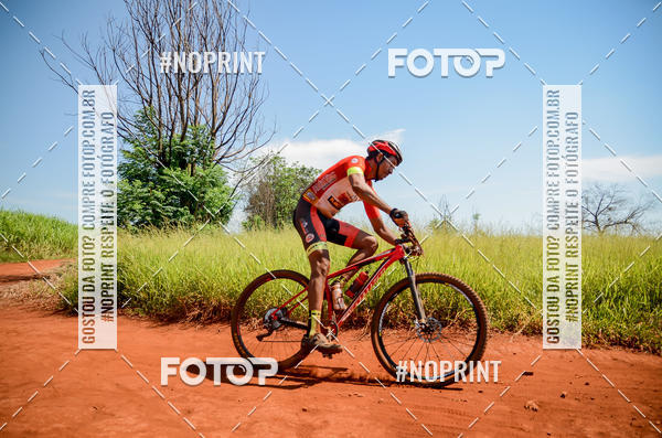 Buy your photos of the eventALIGA on Fotop