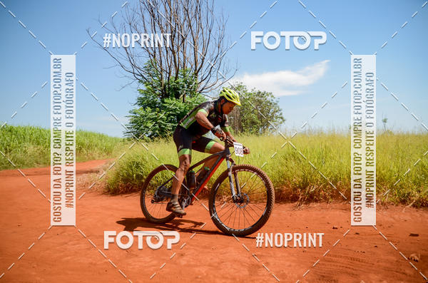 Buy your photos of the eventALIGA on Fotop