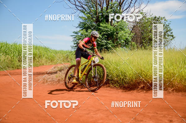 Buy your photos of the eventALIGA on Fotop