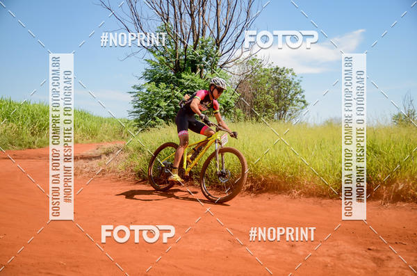 Buy your photos of the eventALIGA on Fotop