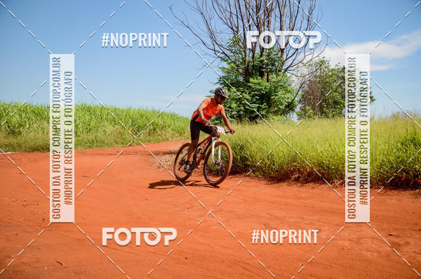 Buy your photos of the eventALIGA on Fotop