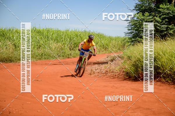 Buy your photos of the eventALIGA on Fotop