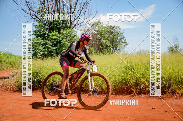 Buy your photos of the eventALIGA on Fotop