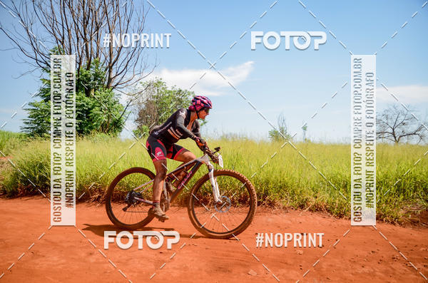 Buy your photos of the eventALIGA on Fotop