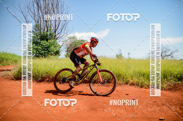 Buy your photos of the eventALIGA on Fotop