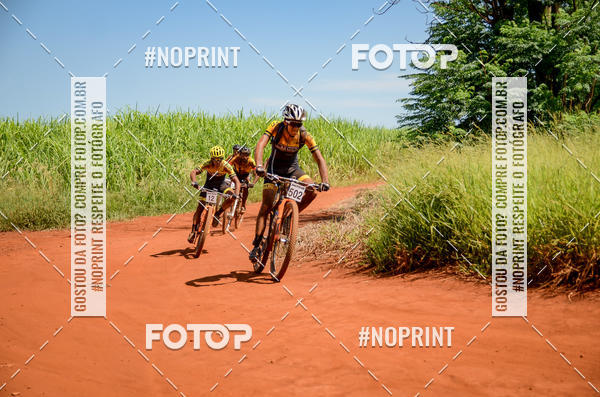 Buy your photos of the eventALIGA on Fotop