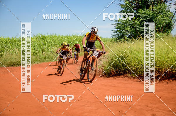 Buy your photos of the eventALIGA on Fotop