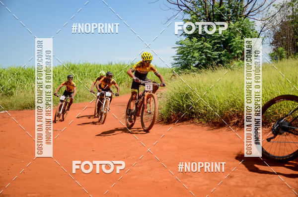 Buy your photos of the eventALIGA on Fotop