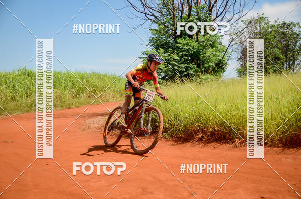 Buy your photos of the eventALIGA on Fotop