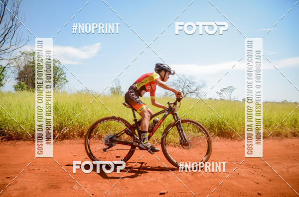 Buy your photos of the eventALIGA on Fotop