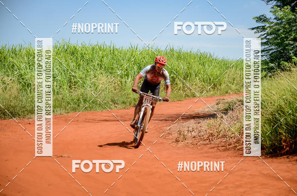 Buy your photos of the eventALIGA on Fotop