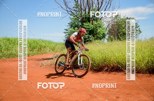 Buy your photos of the eventALIGA on Fotop