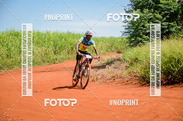 Buy your photos of the eventALIGA on Fotop