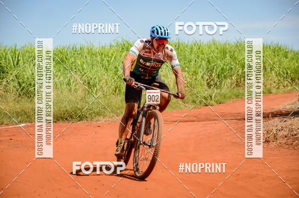 Buy your photos of the eventALIGA on Fotop