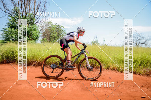 Buy your photos of the eventALIGA on Fotop