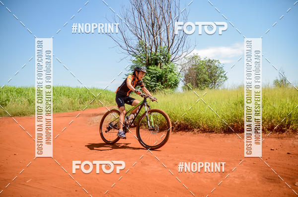 Buy your photos of the eventALIGA on Fotop