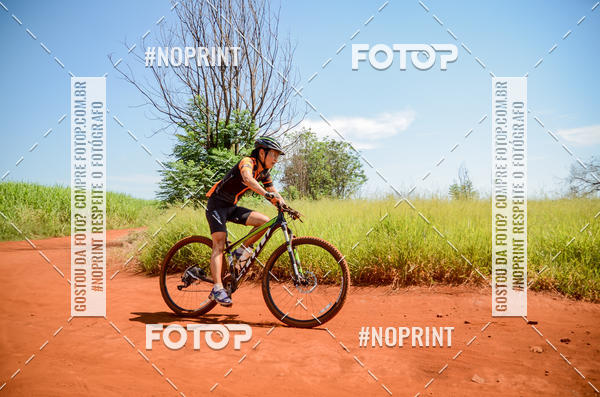 Buy your photos of the eventALIGA on Fotop