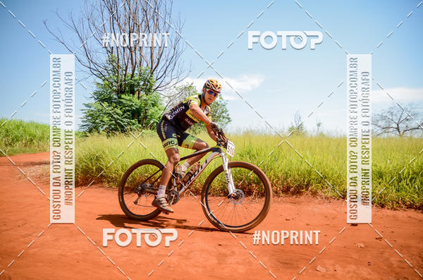 Buy your photos of the eventALIGA on Fotop